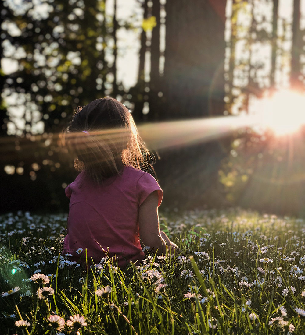 Frau sitzt mit Rücken zum Betrachter auf einem Blumenfeld und schaut in die untergehende Sonne